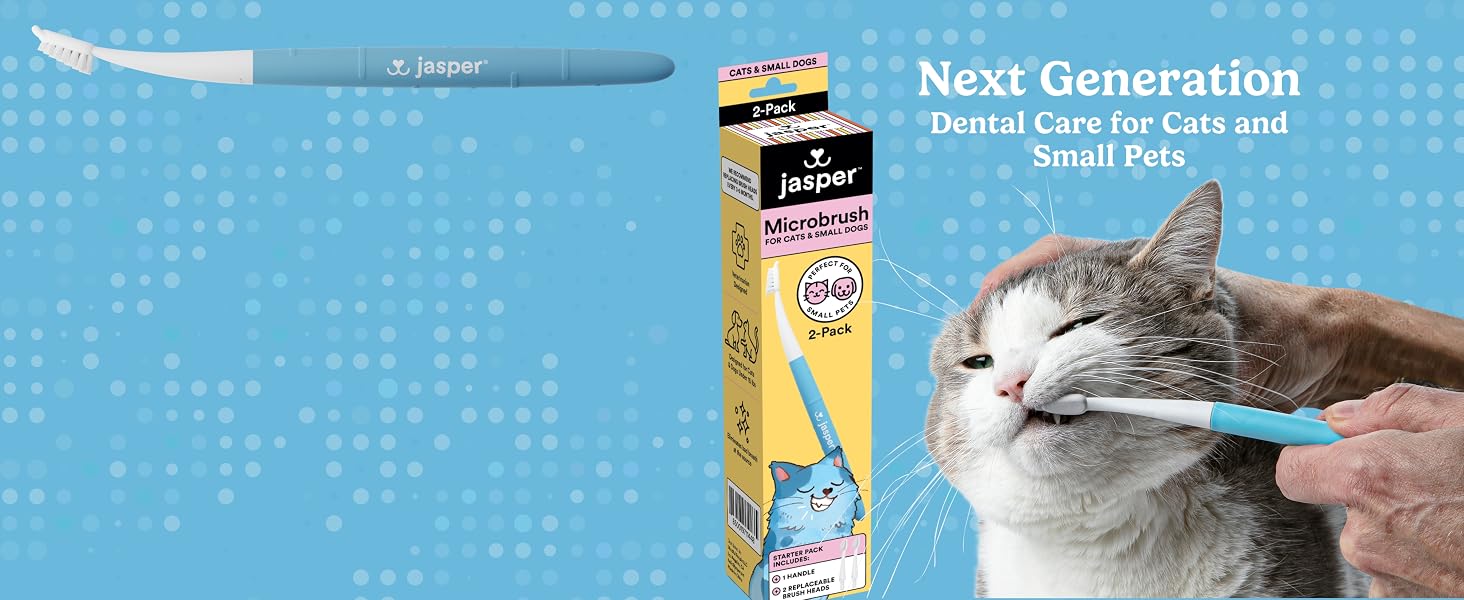 jasper microbrush for cats and small pets
