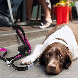 dog poop bag holder holders for leashes dispenser leash bags rolls dogs waste with doggie earth rate