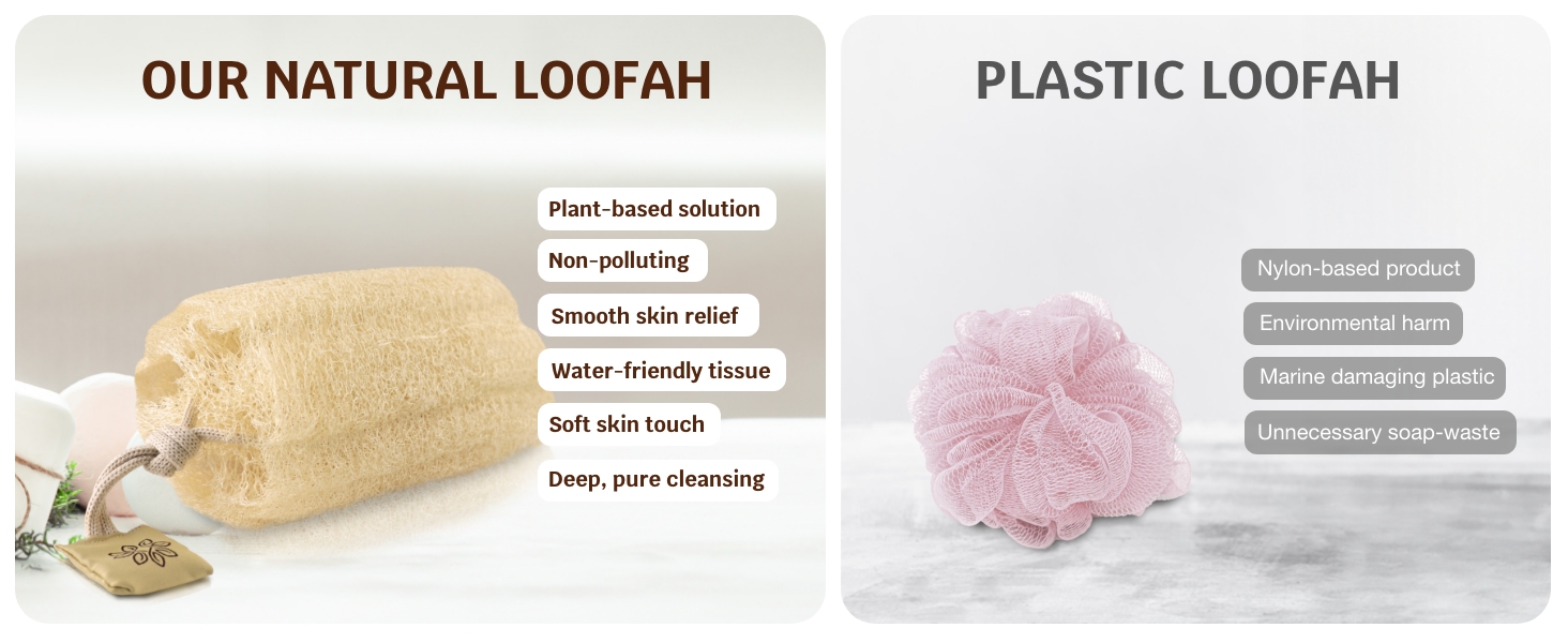 Loofah Sponge