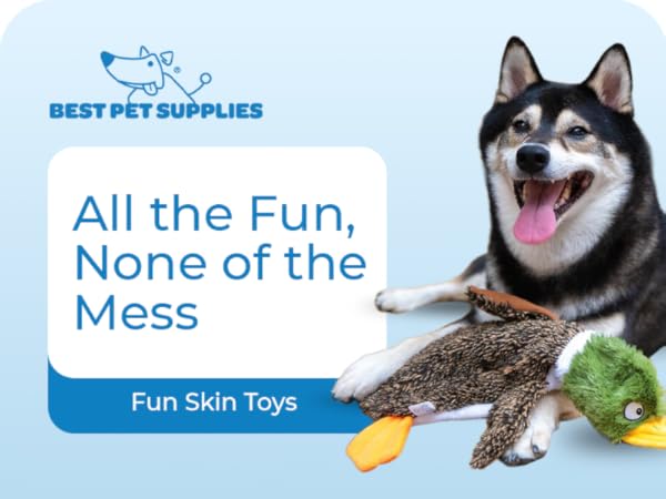fun skin toy