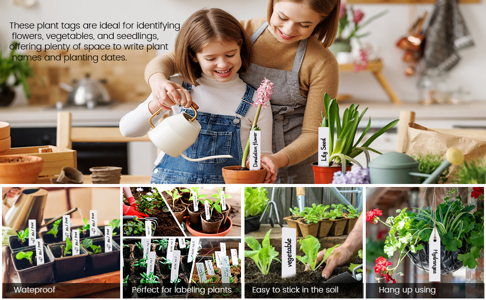 Potted Plants With Plant Labels