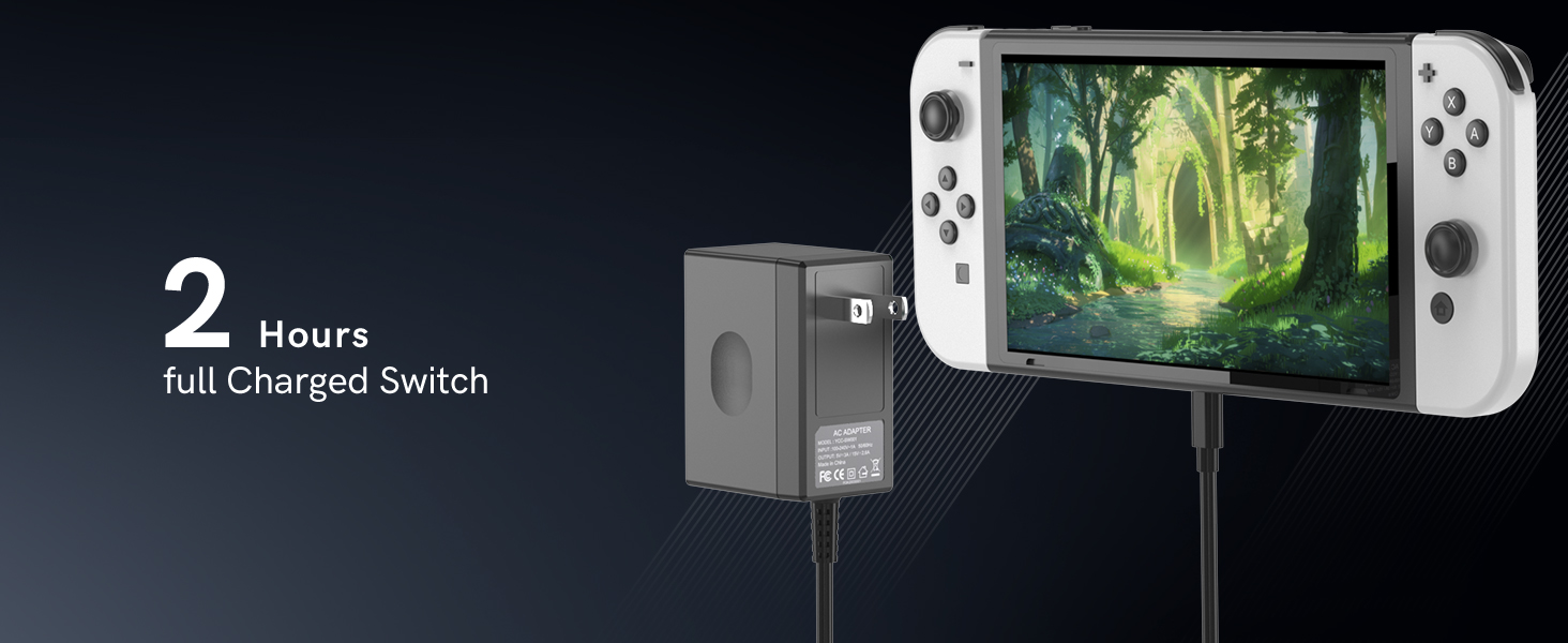 Nintendo Switch charger