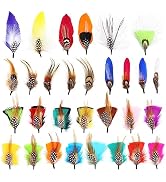 SendyFeather Hat Feathers 30 Styles Natural Assorted Feathers for Fedora Hats Accessories DIY Cra...
