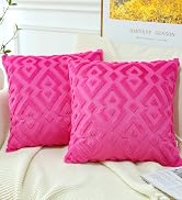 Artscope Pack of 2 Soft Plush Short Wool Velvet Decorative Throw Pillow Covers Luxury Style Cushi...