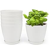 KINGLAKE 6 Pcs 5.5 inch Plastic Plant Nursery Pots for Plants with Saucers,Indoor White Flower Po...
