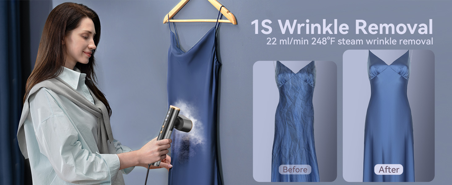 travel steamer 220v