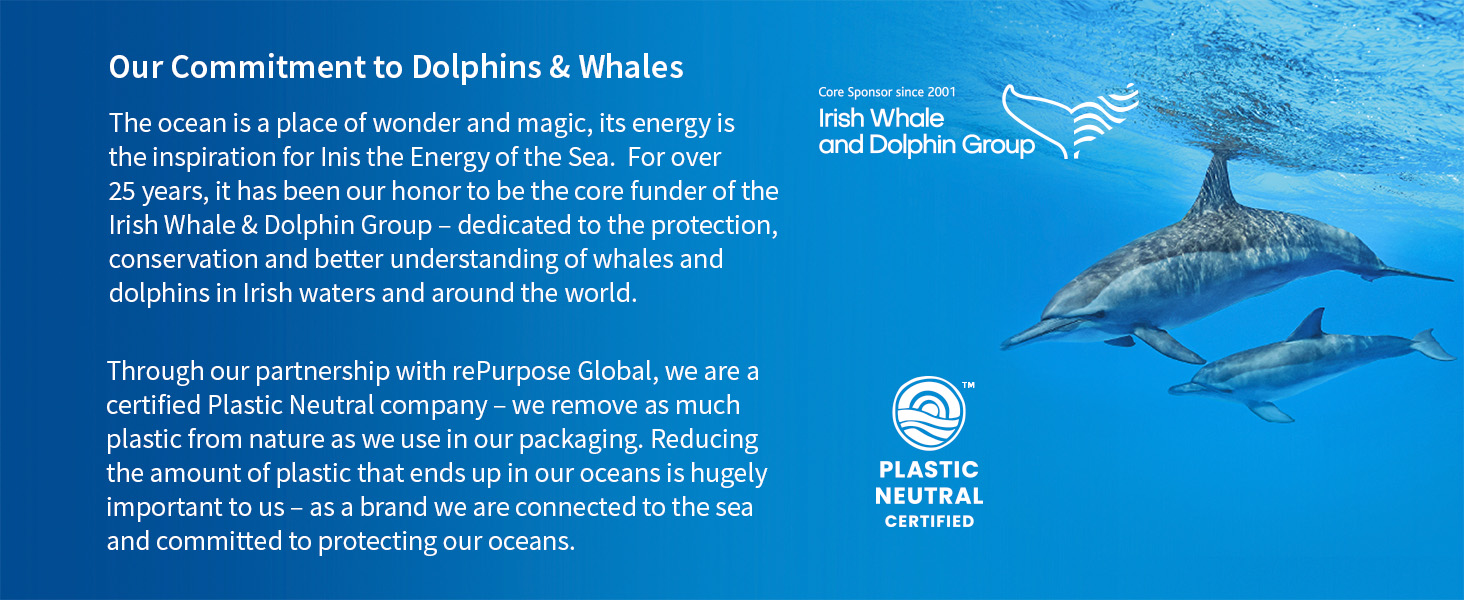 Our commitment to the Irish dolphin and whales