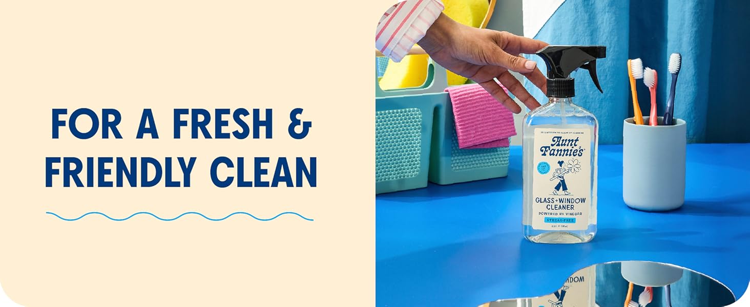 stainless steel cleaner glasses shower window car cleaning supplies windshield all purpose