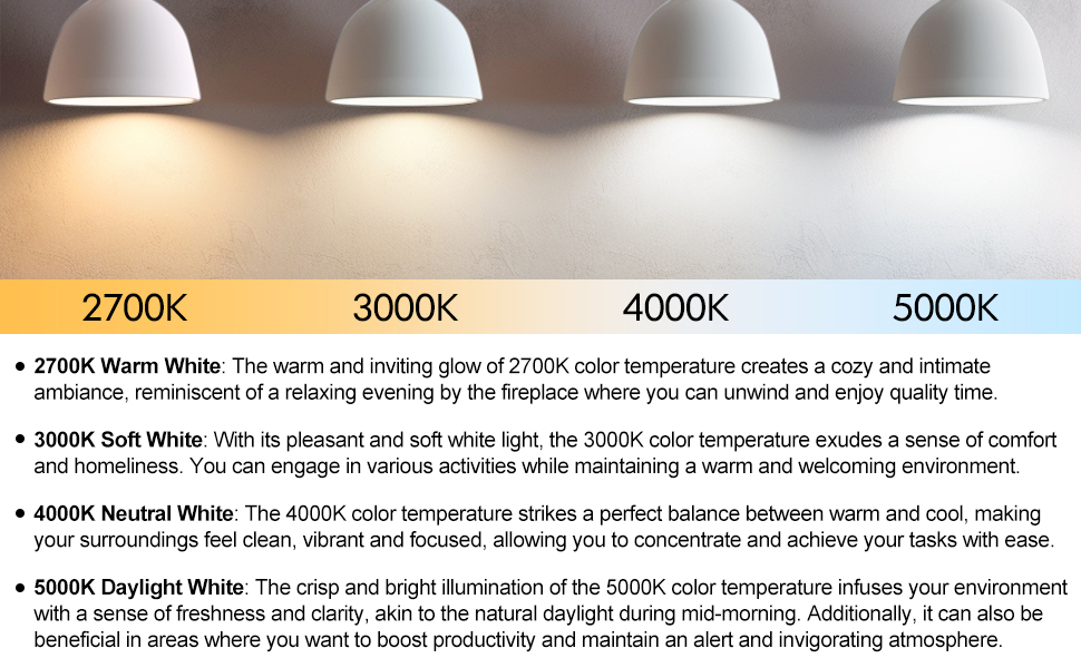 Light Bulbs