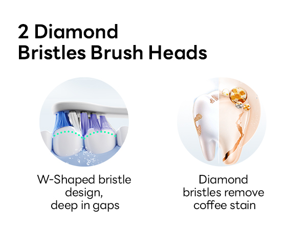 2 brush heads