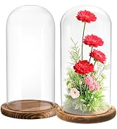 Mezchi 2 Pack Glass Cloche Display Dome, 10 Inch Large Decorative Glass Bell Jar, Clear Dome Show...