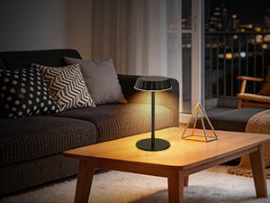 Living Room Lamp