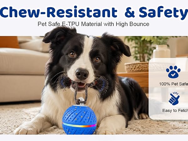 rolling dog ball