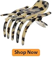 Camila Paris CP3473 Hair Clips for women