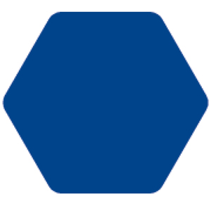 hexagonal icon