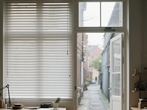 ROLLINDOG Window Protection Film