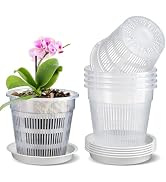 MYITYARD Orchid Pots with Holes, 6 Pack 4.3 Inch Small Plant Pot with Drainage, Clear Plastic Flo...