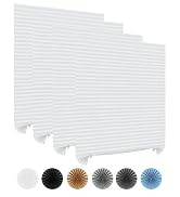 blinds temporary
