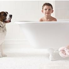 family safe pet safe mold treatment bathroom spray