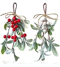 https://m.media-amazon.com/images/S/aplus-media-library-service-media/64e90df6-e541-4503-968c-1d776237dcb5.__AC_SR200,225___.jpg