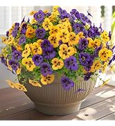 Rowfad 18 Pcs Artificial Fake Pansy Flowers for Outdoor, Faux UV Resistant Silk Pansies Flowers f...