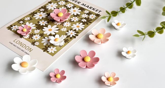 Decorative Magnets
