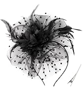 DRESHOW Fascinators Hat Feather Headband Women's Fascinators Tea Party Headwear with Clip Flower ...