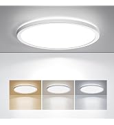 BLNAN LED Flush Mount Ceiling Light, 12 Inch 24W 3000K/4000K/5000K Hardwire Light Fixture, Ultra ...