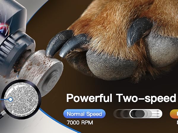 Powerfull two speed motor, Fumei nail grinder