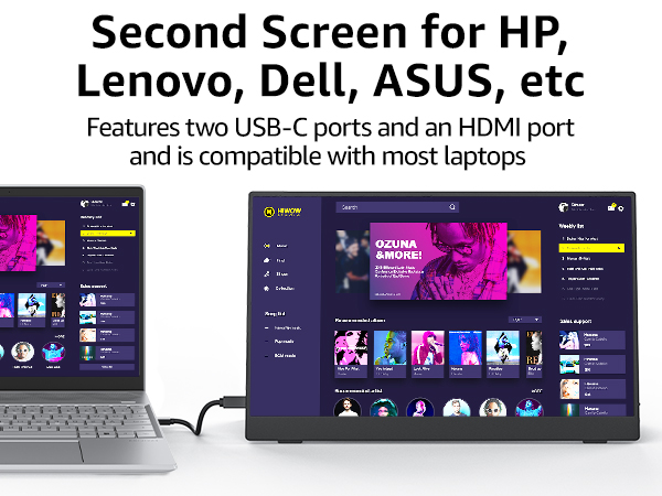 portable monitor