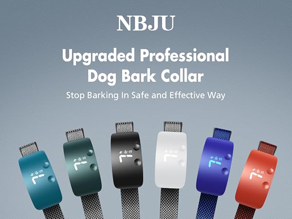 barking collar dog