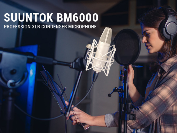 BM6000 XLR Condenser Microphone