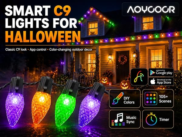C9 christmas lights
