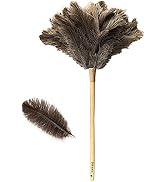 Feather Duster