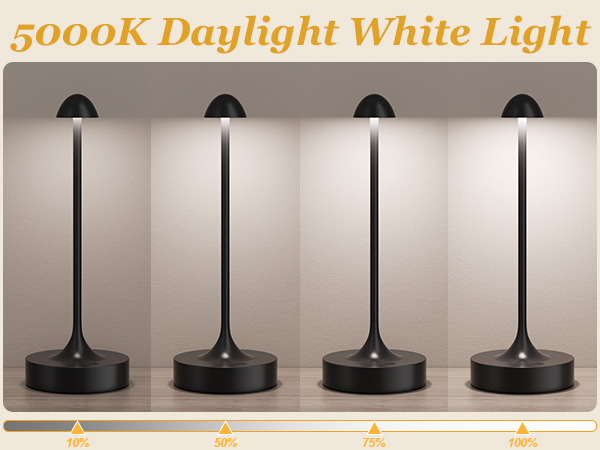 battery lamp