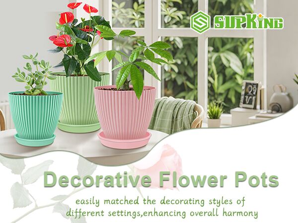 7inch 6inch plant pots