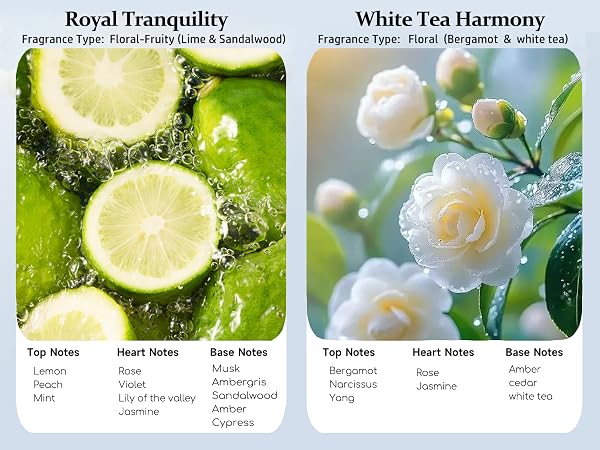 Includes 2×30ml Hotel-Inspired Oils