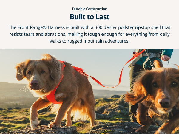 Soft, padded comfortable dog harness offering all-day wear without chafing.