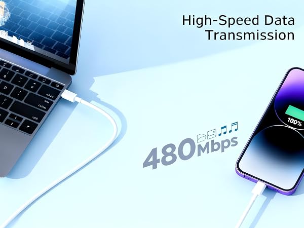 Lightning to USB Cable