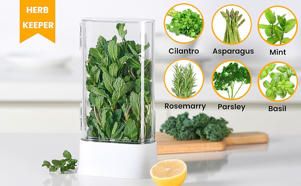 herb keeper for refrigerator