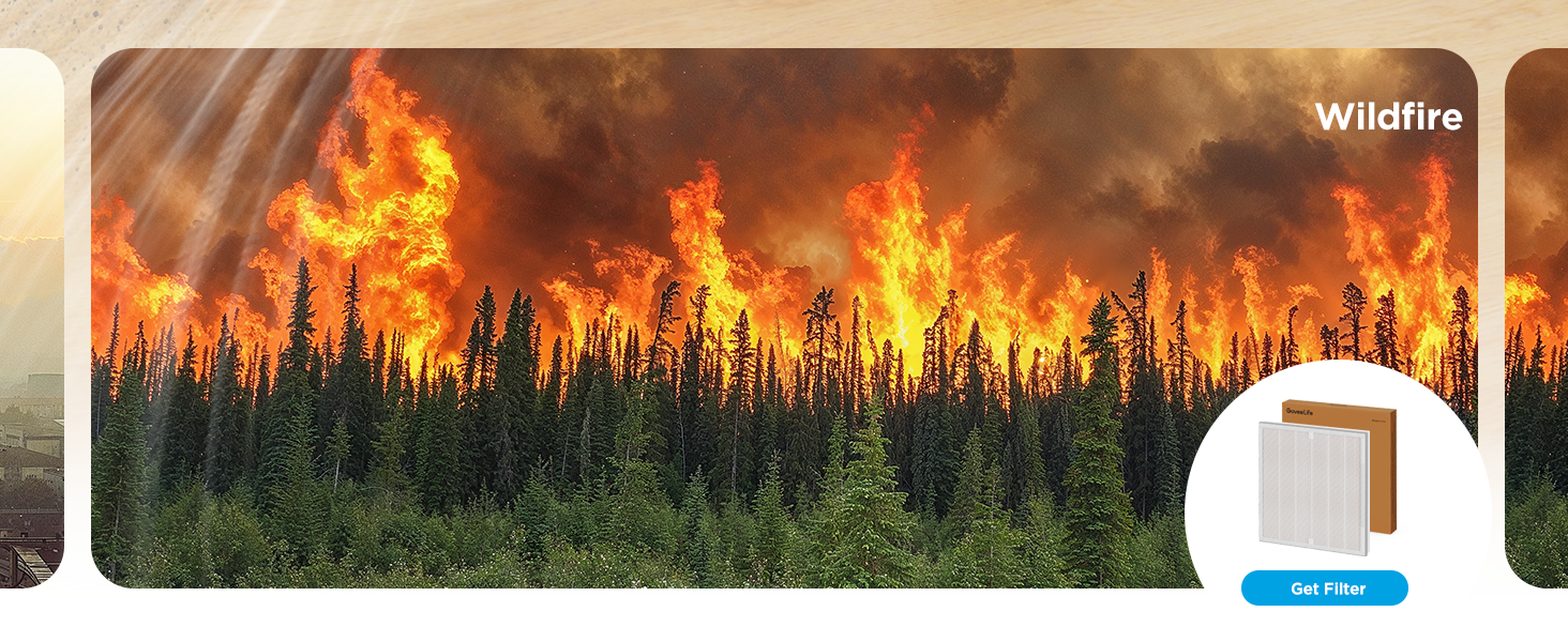 wildfire