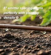1/4" Irrigation Dripline Tubing for Gardens: 100-foot Drip Irrigation Line with 6-inch Emitter Sp...