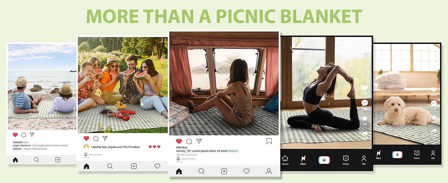 picnic