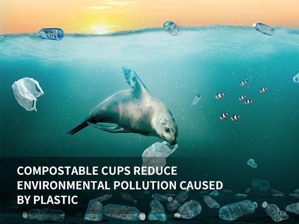 Alternative to disposable plastic material cups