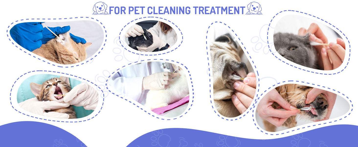 Dog Ear Swabs