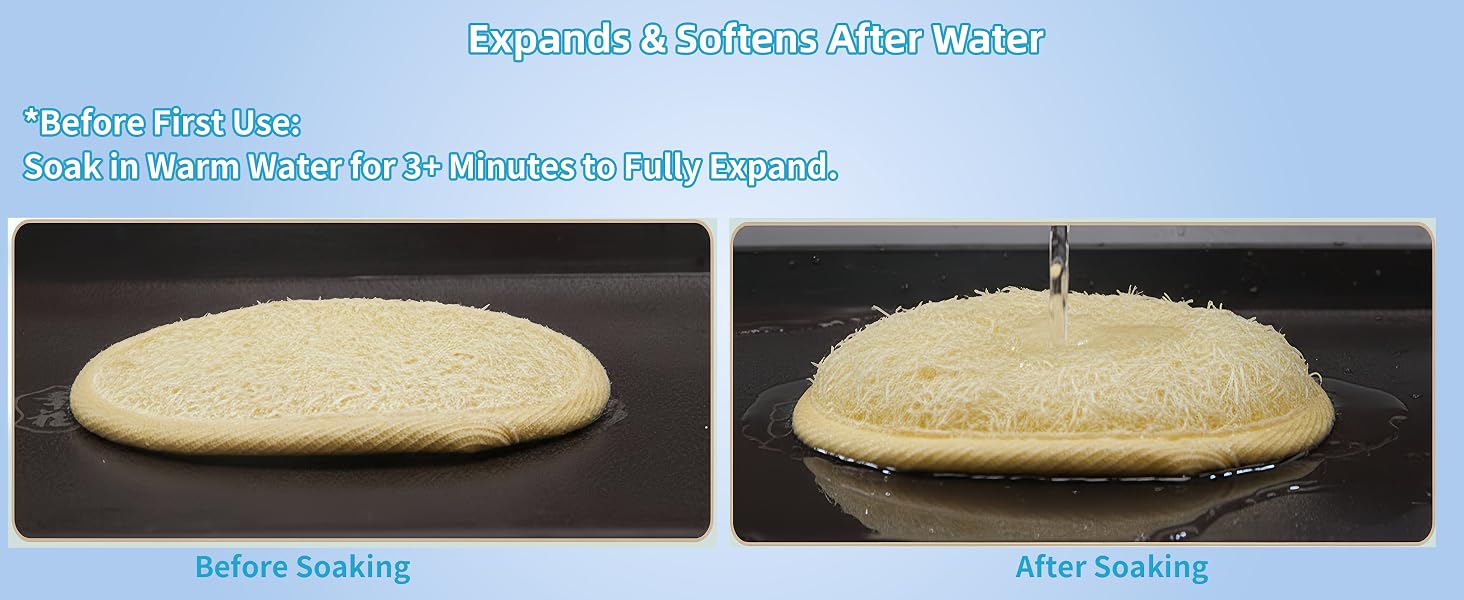 expands & softens after water