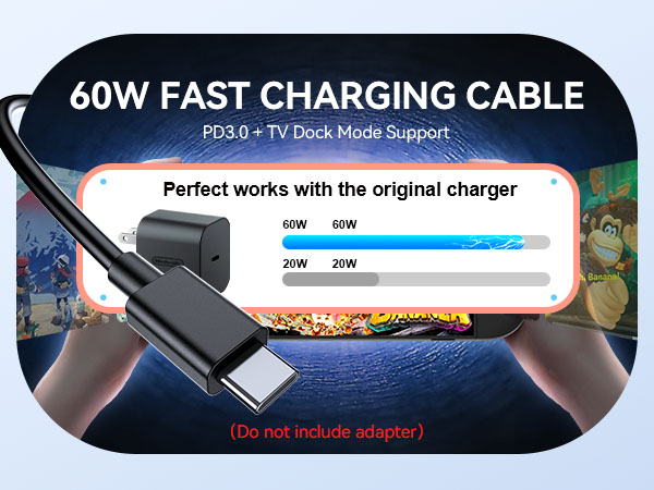 nintendo switch 2 charging cable 10ft