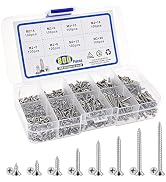 800pcs Self-Tapping Screws Assortment Kit, M2 Pan Head 304 Stainless Steel Wood Screws Round Head...