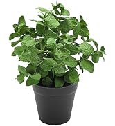 Coferset Small Fake Plants Mint Artificial Potted Plants for Home Office Bathroom Shelf Farmhouse...
