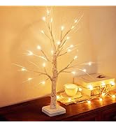 Woohaha 2FT Lighted Birch Tree with 24L Warm White LEDs,Mothers Day Decoration,Battery Powered Ti...